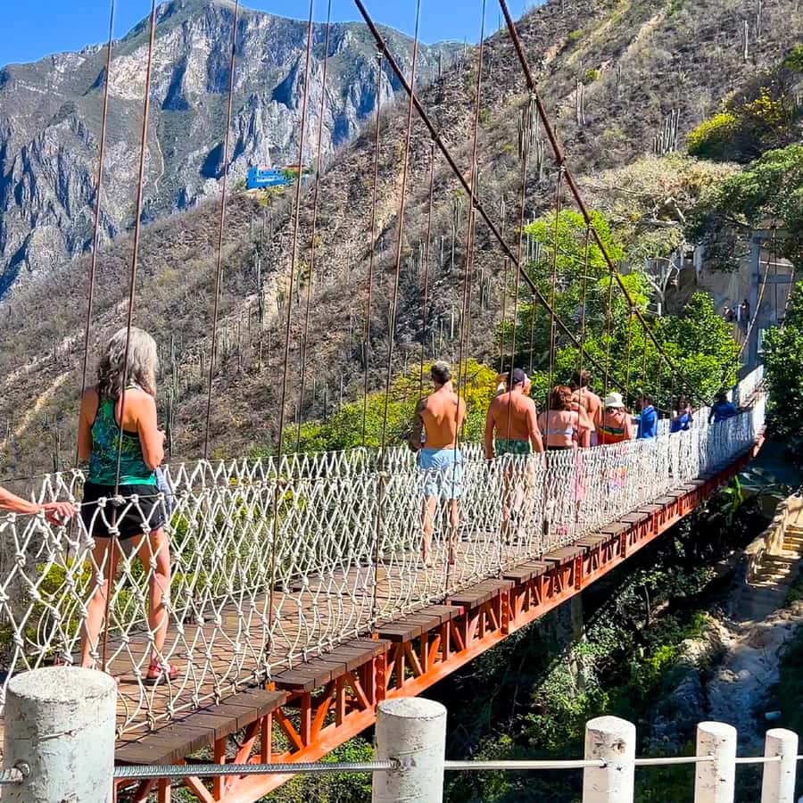 Galería de fotos para redes
