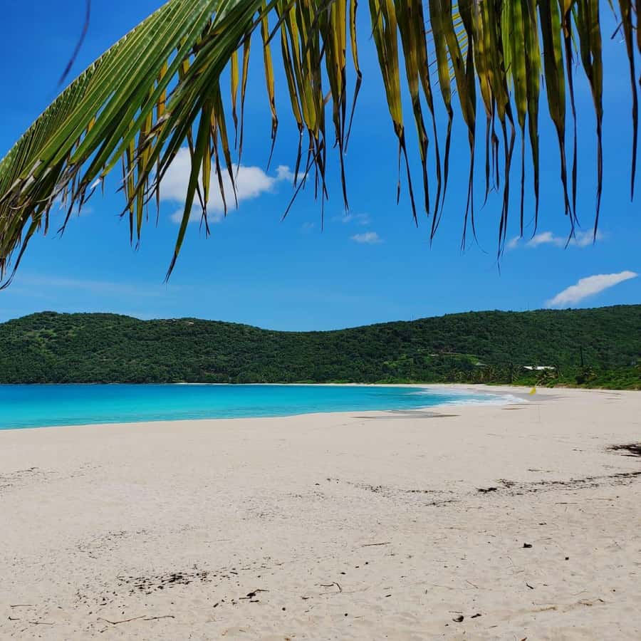 Culebra: Self Guided Day Trip with San Juan Transport