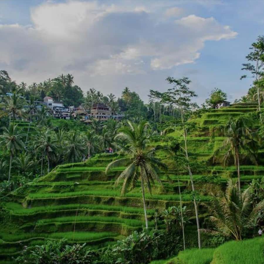 Tomskdagi badavlat ayollar hozir sana yoki jinsiy aloqa izlamoqda