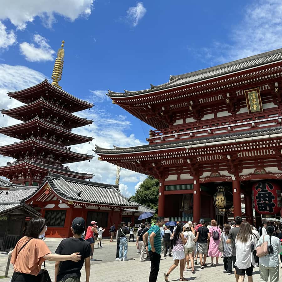 メディア コラージュ