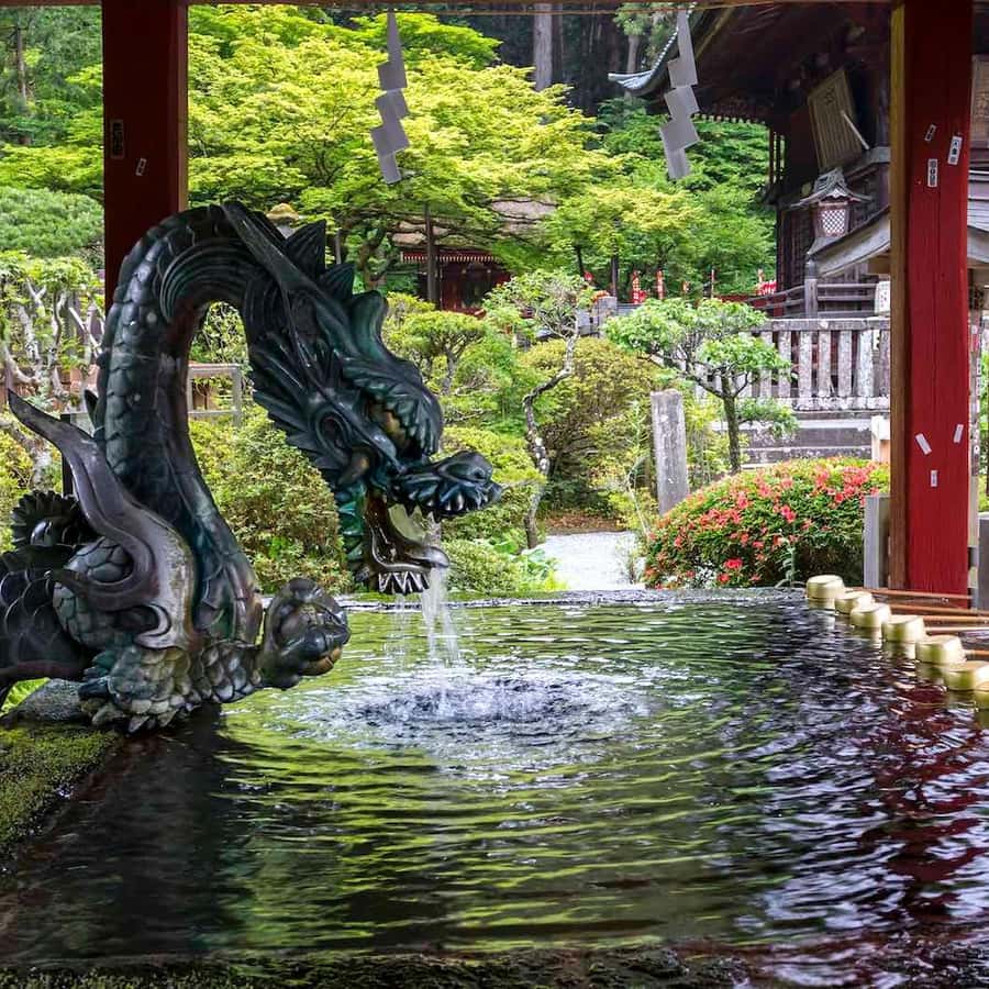 メディア コラージュ