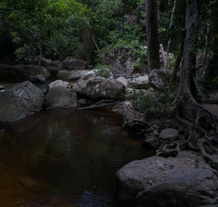 Colagem de mídia
