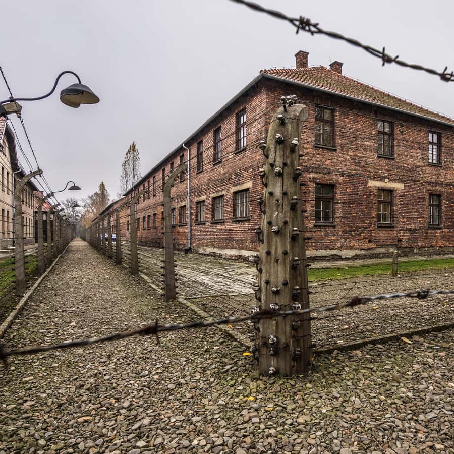 Birkenau From Krakow: Auschwitz-Birkenau Guided Tour & Hotel Pickup | GetYourGuide