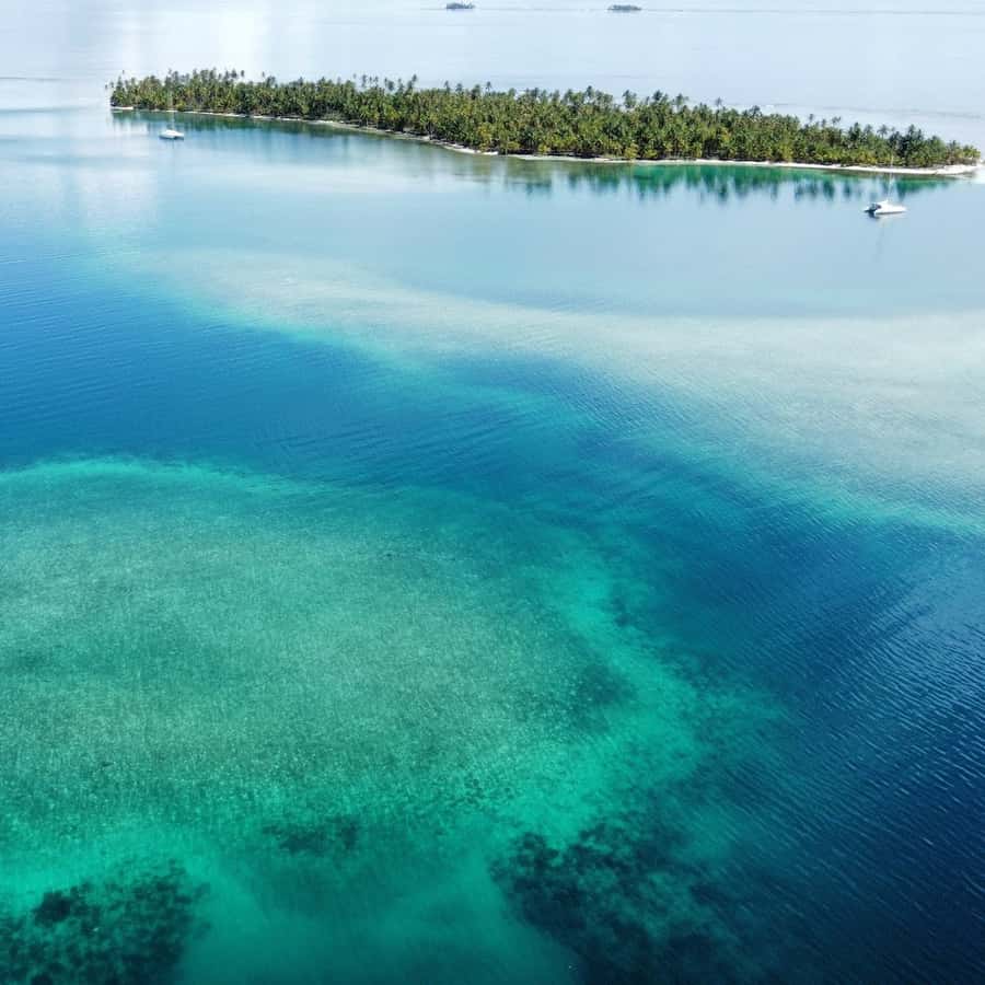 Galería de fotos para redes