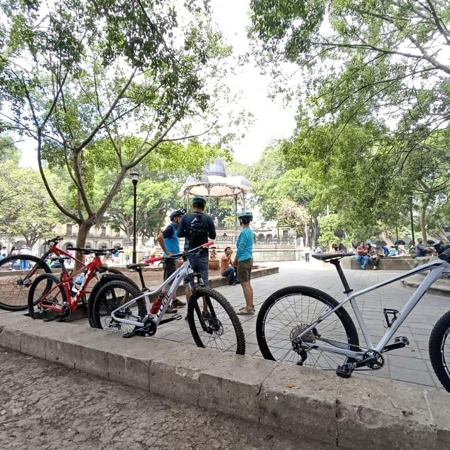 Galería de fotos para redes