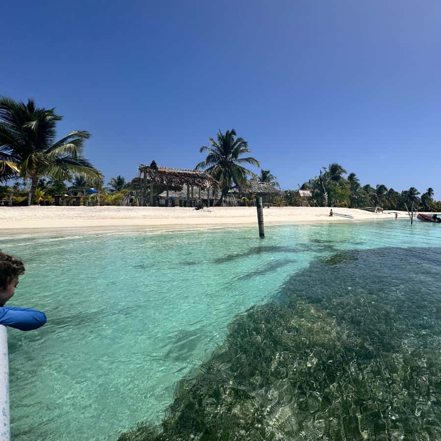 Galería de fotos para redes