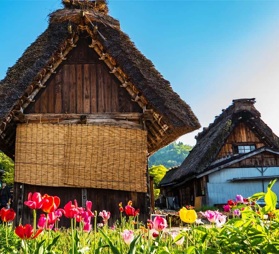 名古屋発：白川郷・飛騨高山日帰りツアー | GetYourGuide