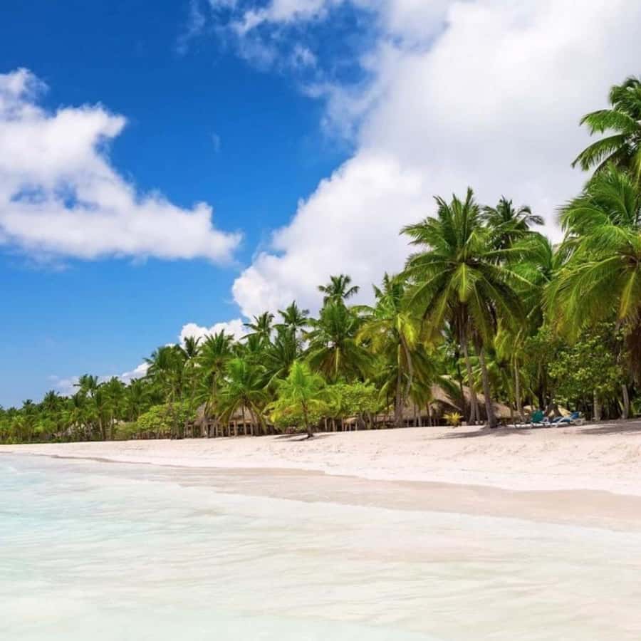 All-Inclusive Excursion to Saona Island from Punta Cana: Lunch and Open Bar