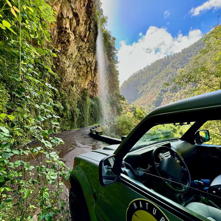 Galería de fotos para redes