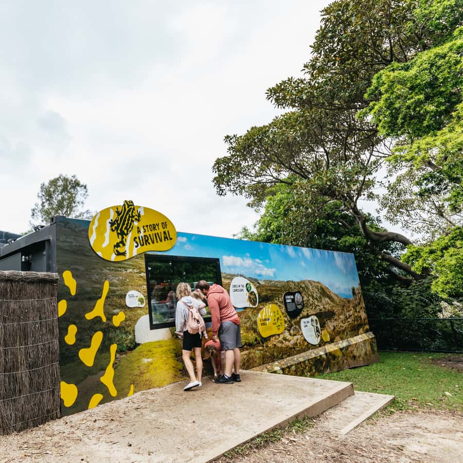 Colagem de mídia