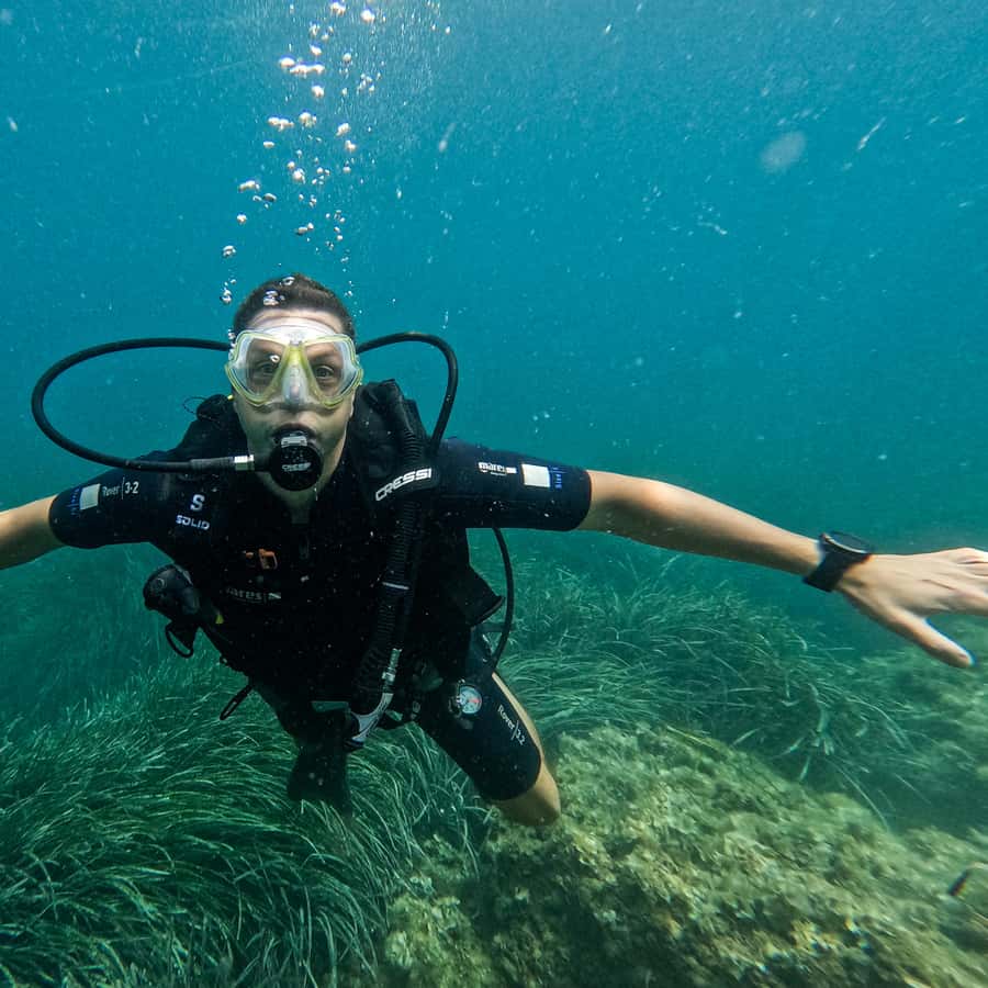 PADI アドバンスド・オープンウォーターダイバー 教材セット 楽天市場】教材 マニュアル本 PADI アドヴァンス AOW ダイバー