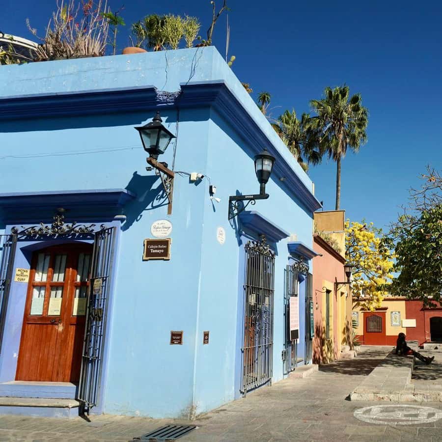 Galería de fotos para redes