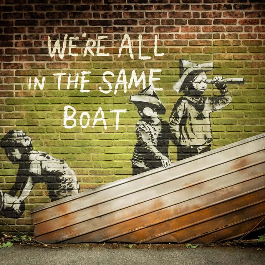 13 コミフォラ　sp エイル　banksy 13 コミフォラ sp エイル banksy isla del pescado - Commiphora