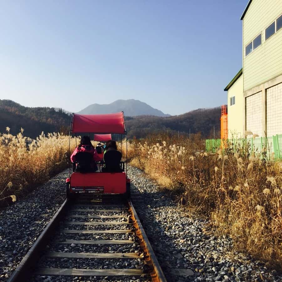 Seoul: Nami Island and Garden of Morning Calm (opt Railbike