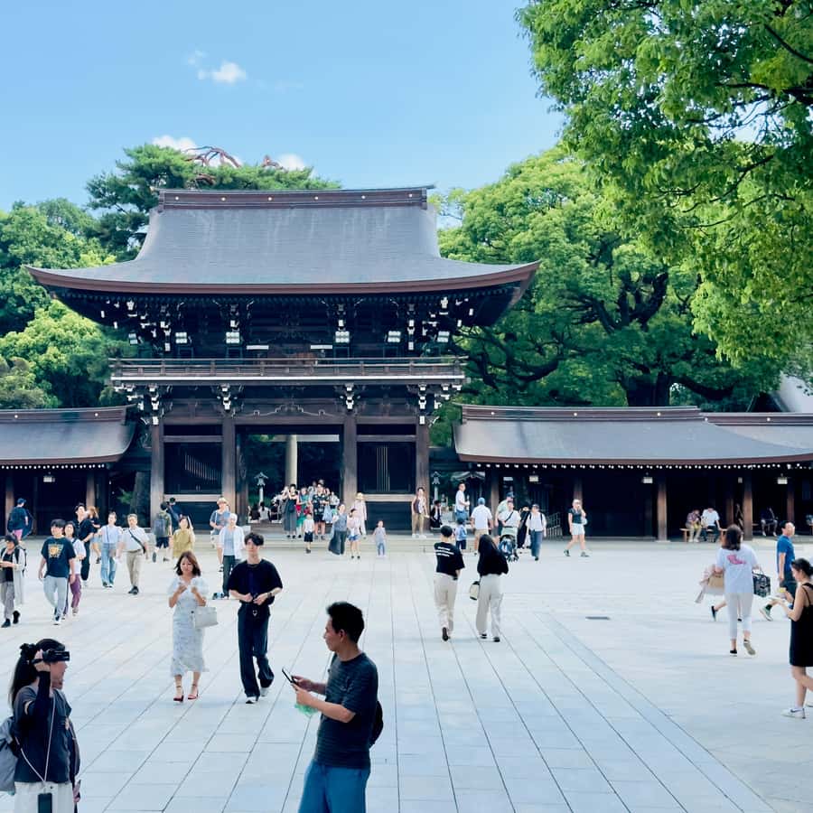 メディア コラージュ