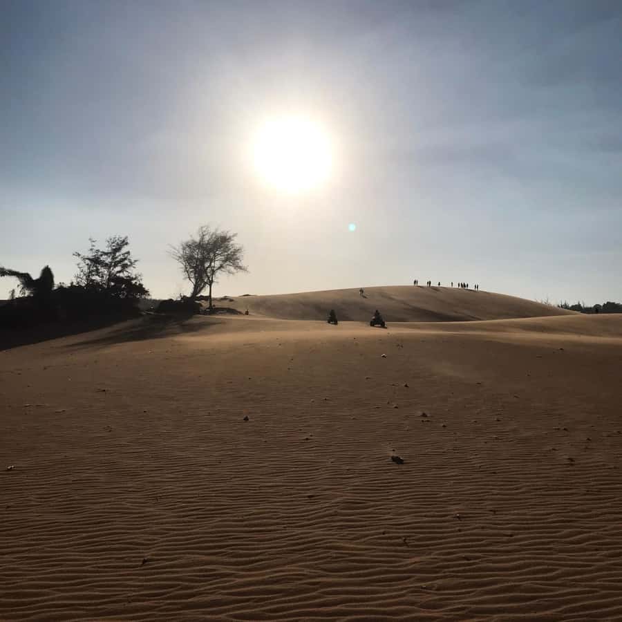 Galería de fotos para redes