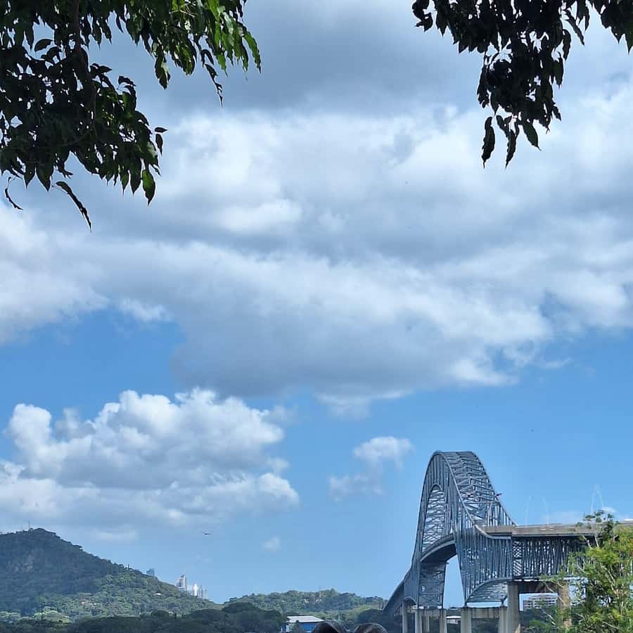 Colagem de mídia