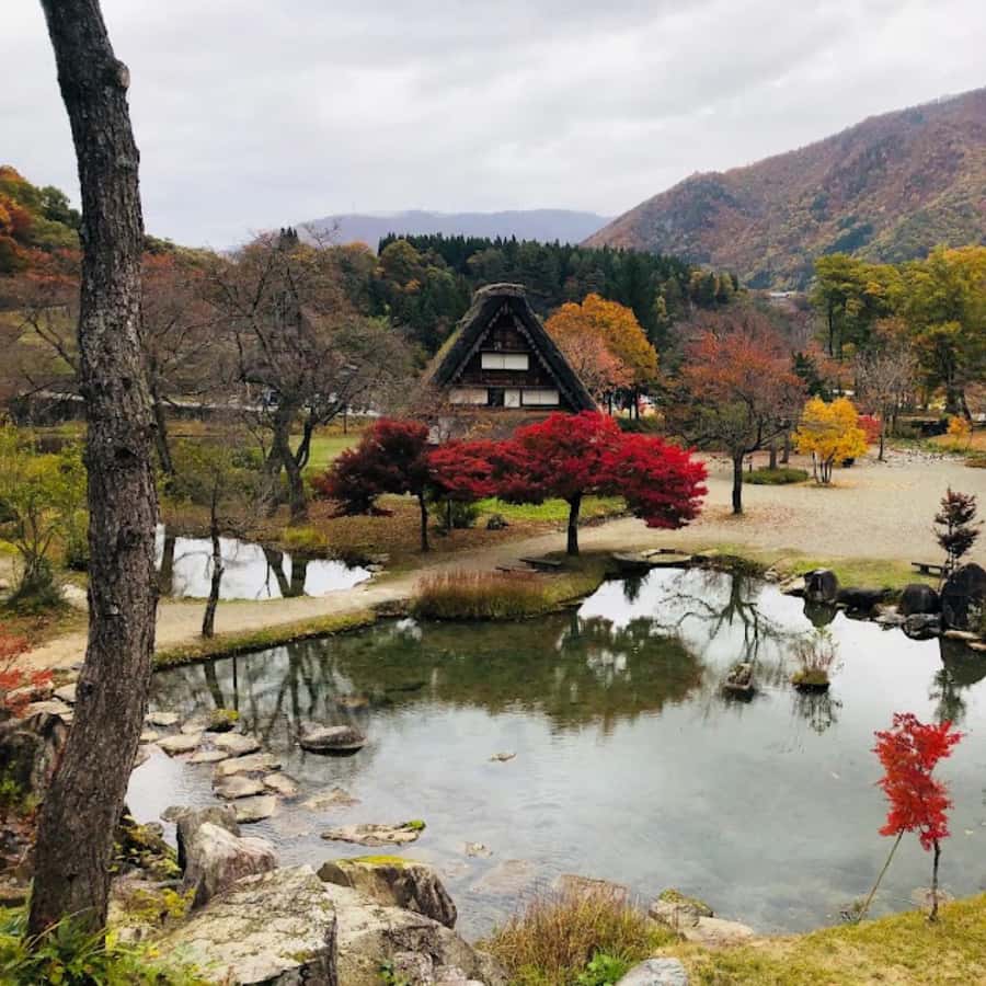 メディア コラージュ