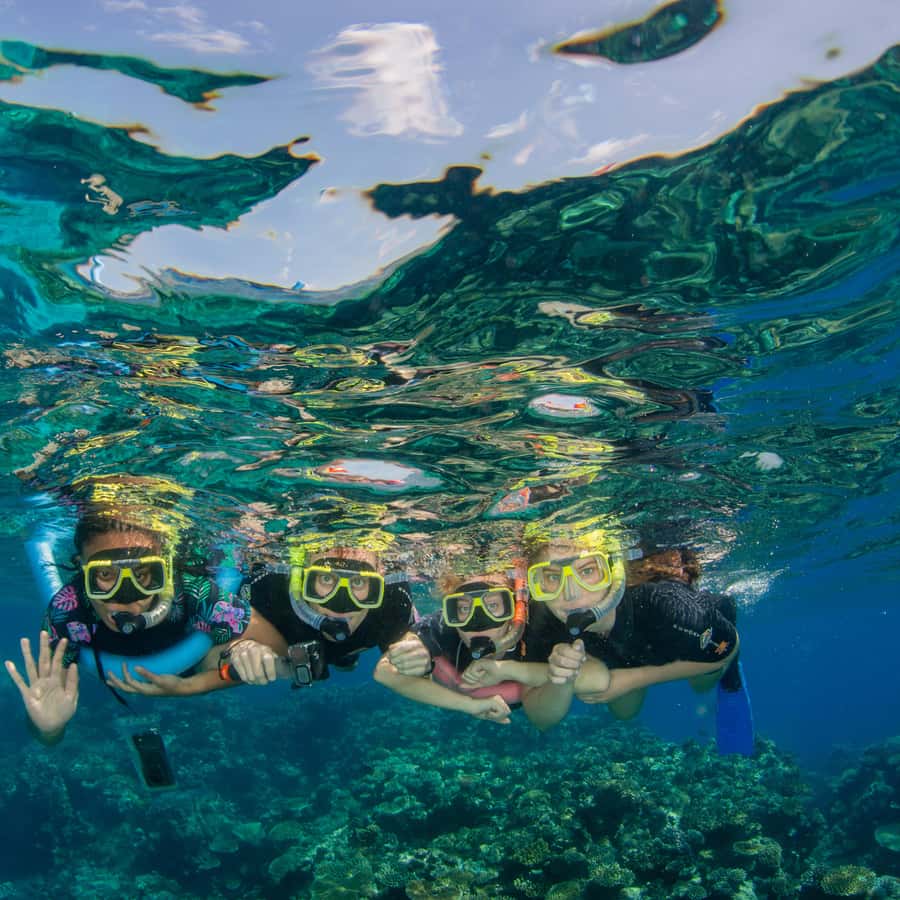 Cairns: Best Value All-inclusive Reef Trip With Scuba Dive