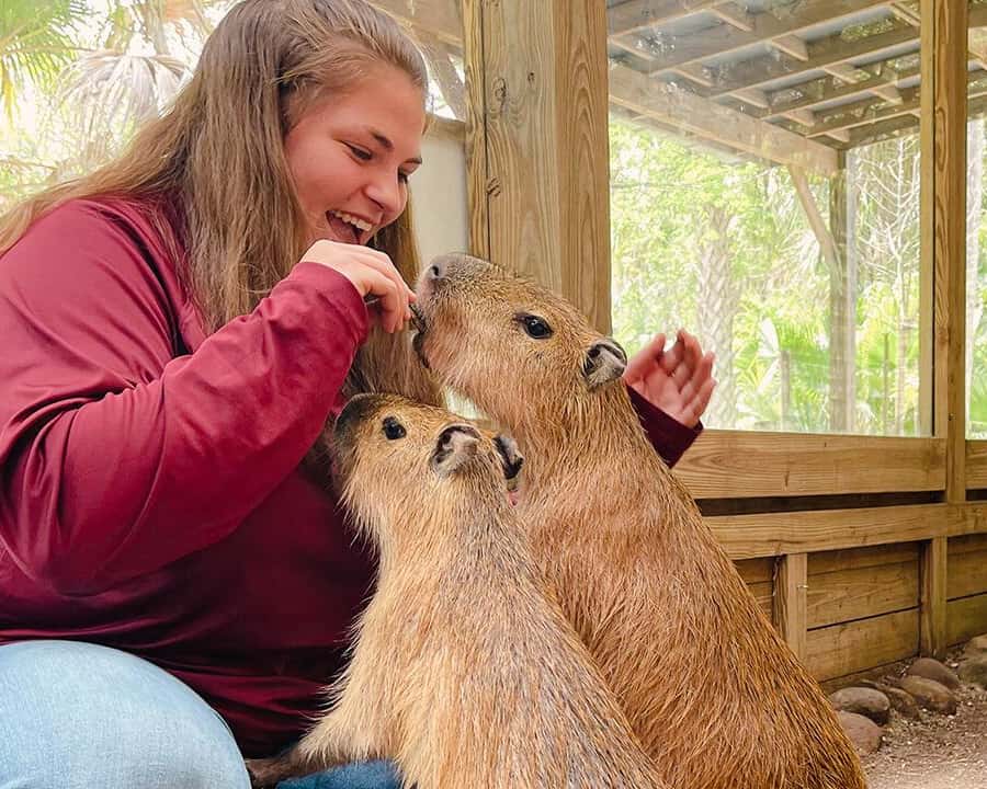 Orlando: Wild Florida Park, Gator Show & Animal Encounters