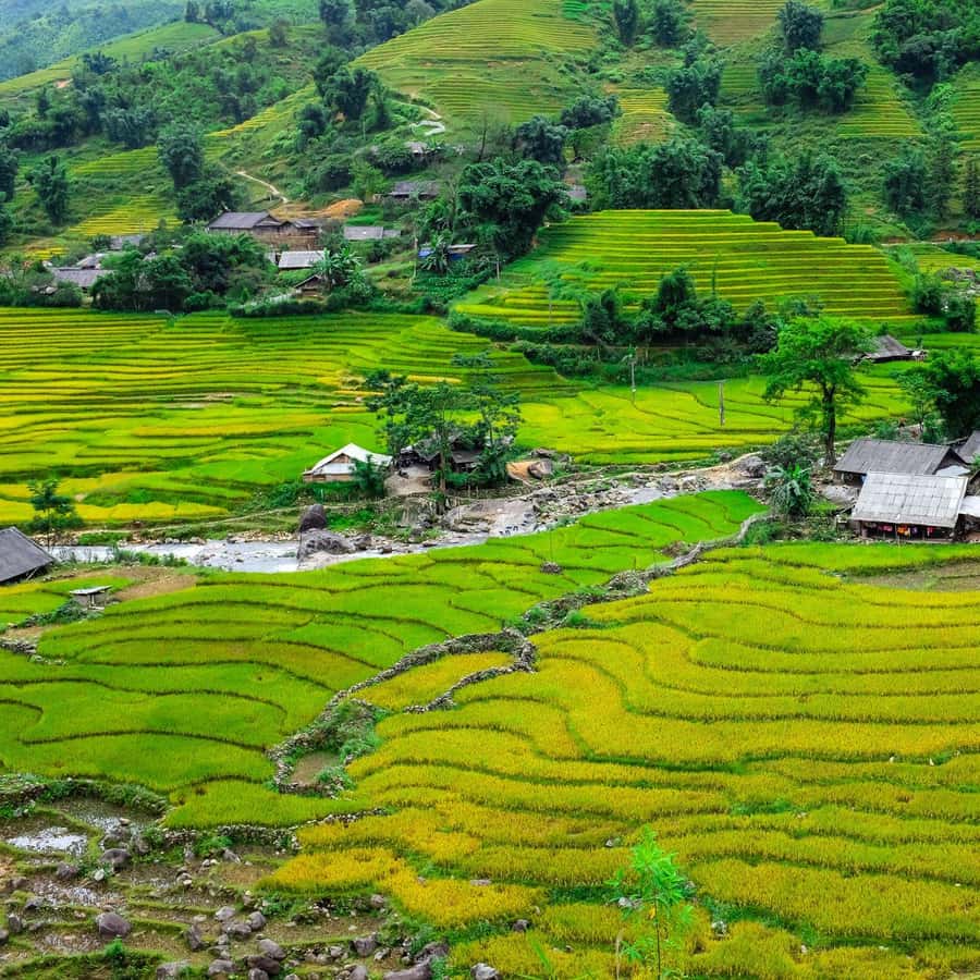 사파 아름다운 논, 마을-쉬운 산책 어린이, 노인 | GetYourGuide, image size:900x900