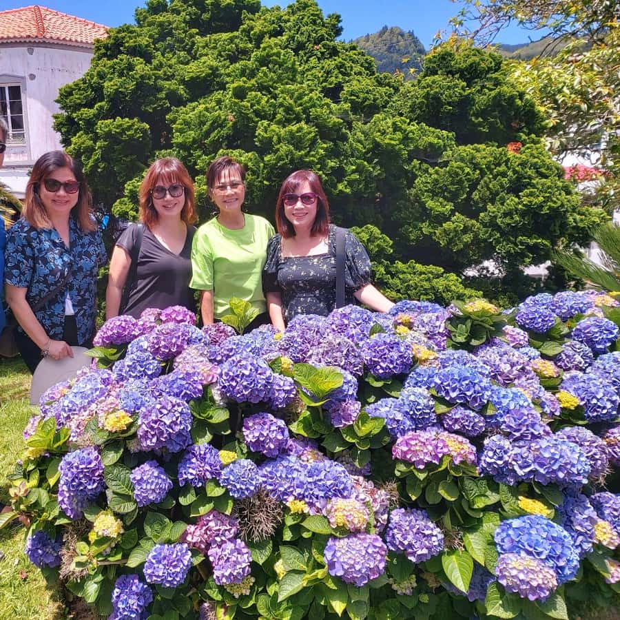 Colagem de mídia