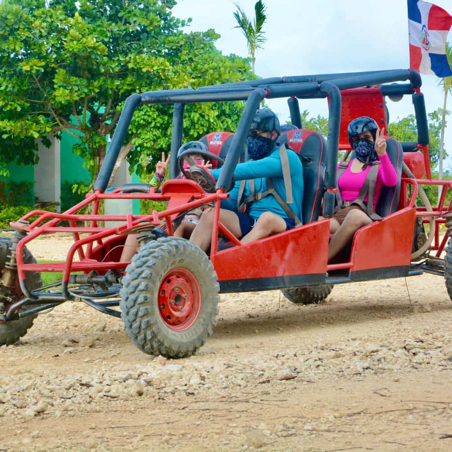 Best Chinese Dune Buggy Wild Tiger Buggy: The Best Buggy