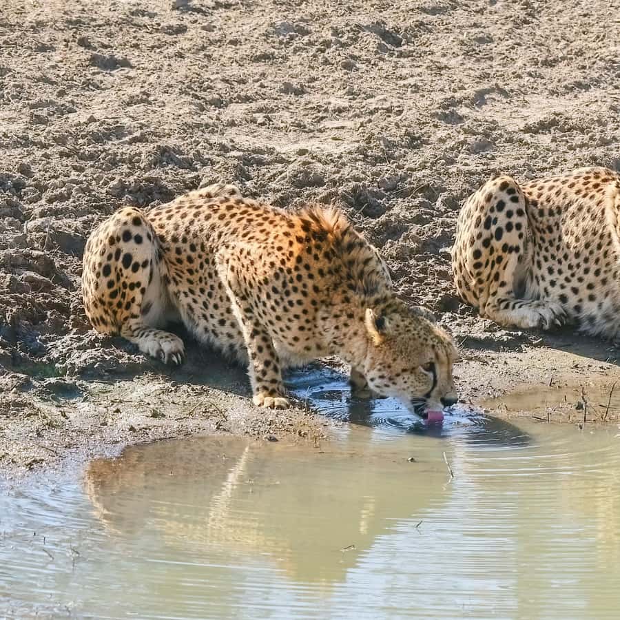 メディア コラージュ