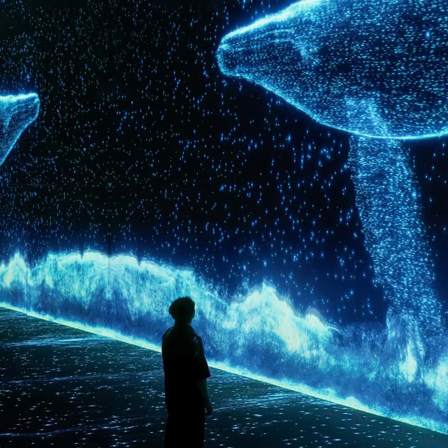 Arte Museum New York: Sürükleyici Bir Medya Sanatı Sergisi