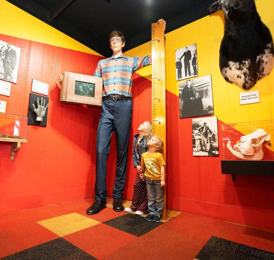 Galerie média