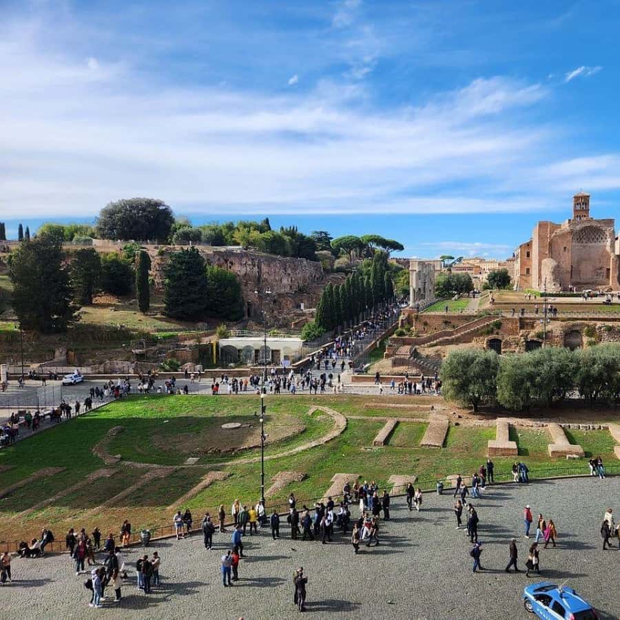 Rome: Colosseum, Roman Forum, and Palatine Hill Experience
