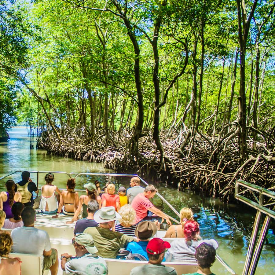 2in1: Los Haitises National Park Yanigua Waterfall-SPA