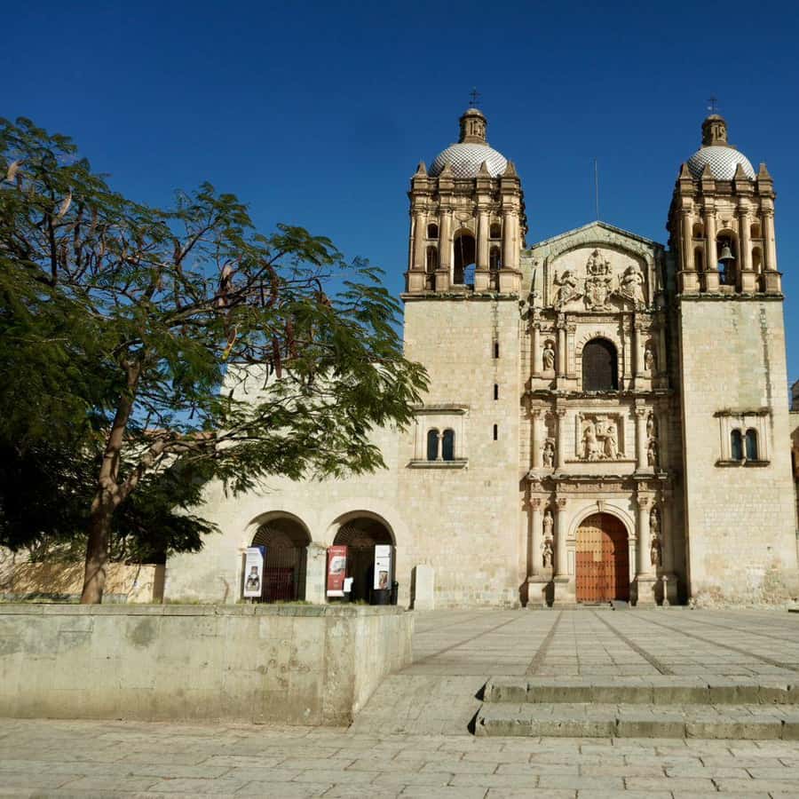 Galería de fotos para redes