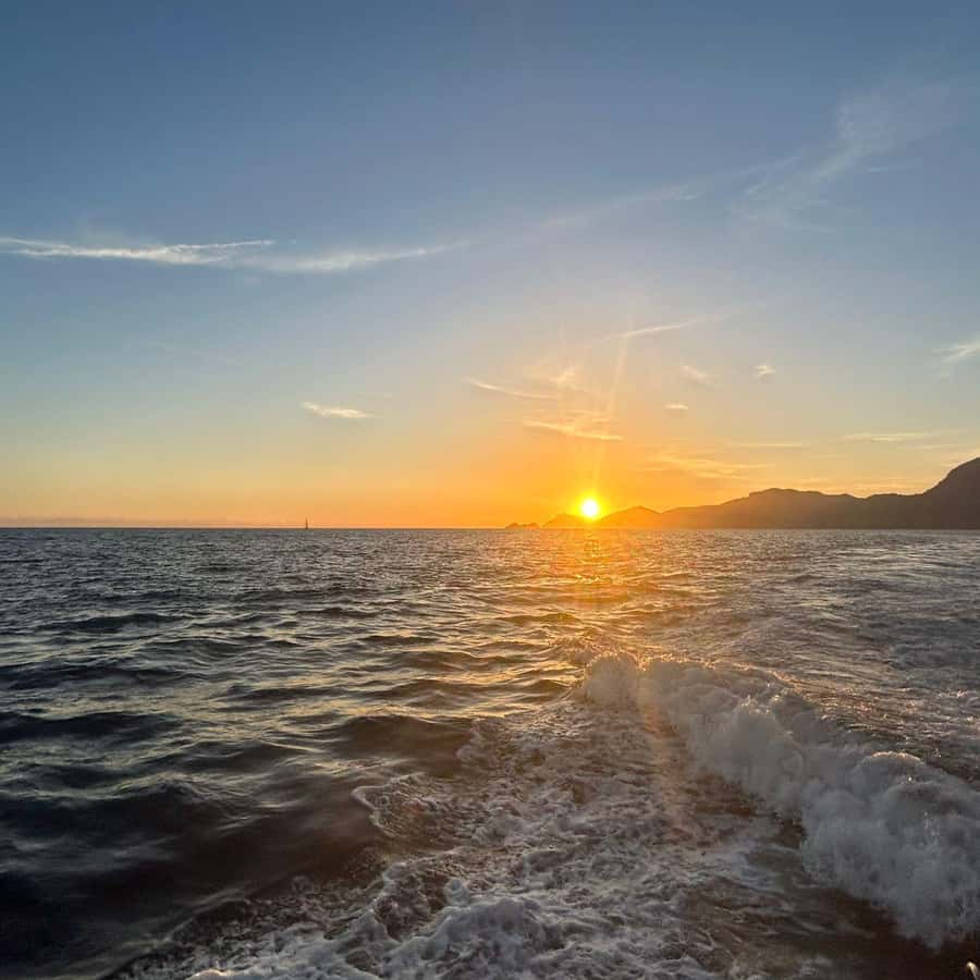Galería de fotos para redes