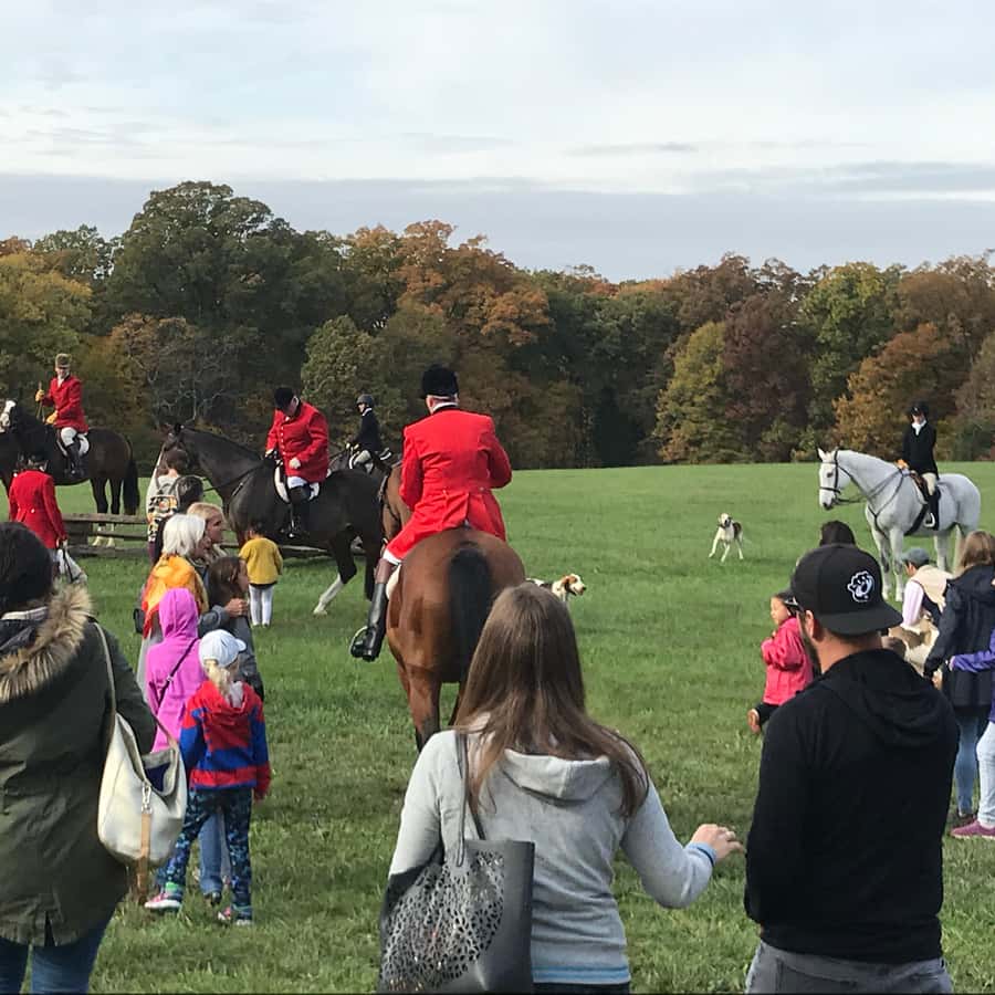Washington DC: Mount Vernon Half-Day Tour