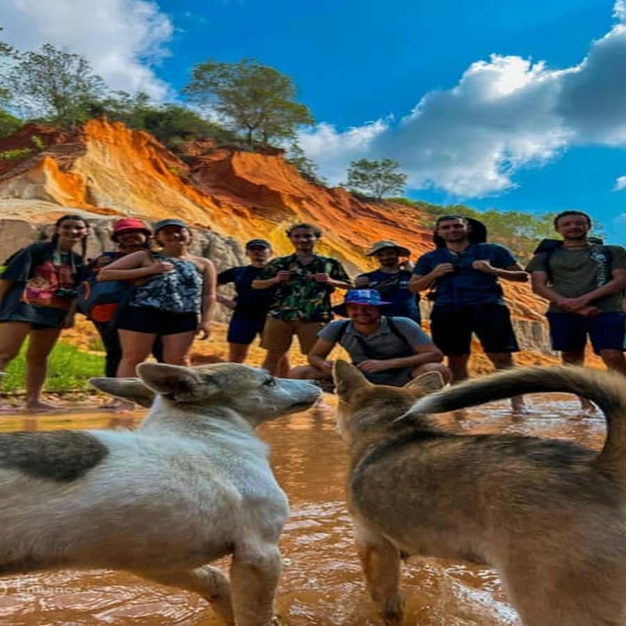 Galería de fotos para redes