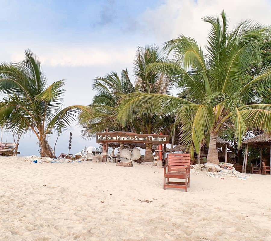 Koh Samui: Koh Tan and Koh Madsum Half-Day Tour by Catamaran