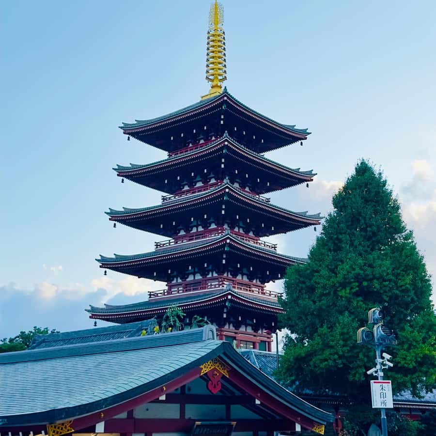 メディア コラージュ