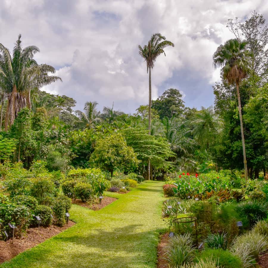 斯里兰卡精选5 日游：锡吉里耶、康提、埃拉| GetYourGuide, image size:900x900