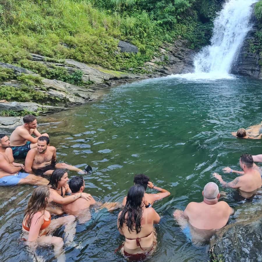 Galería de fotos para redes