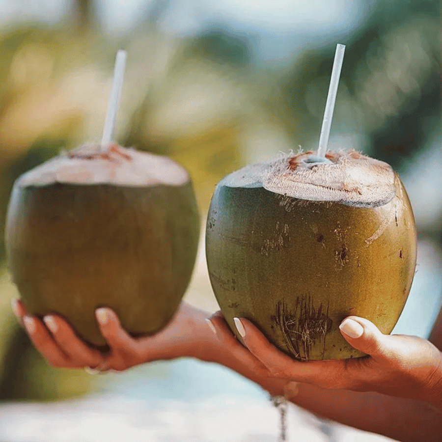 Oslob: Whale Sharks, Tumalog Falls, & Monkey Sanctuary Tour