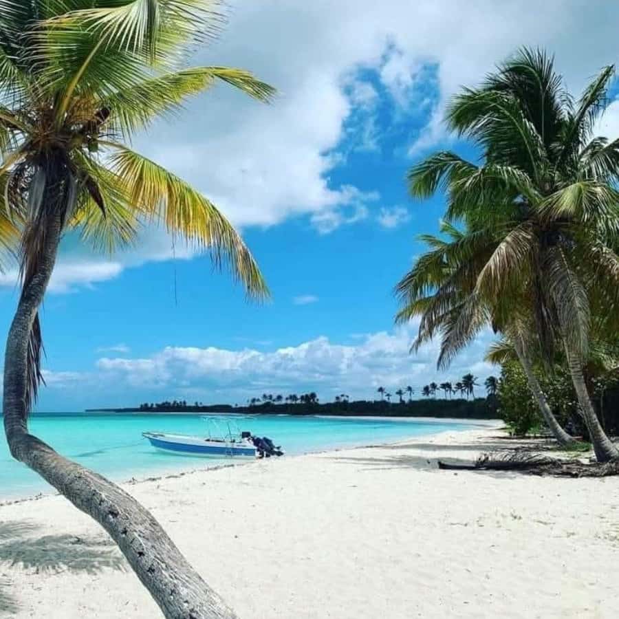 All-Inclusive Excursion to Saona Island from Punta Cana: Lunch and Open Bar