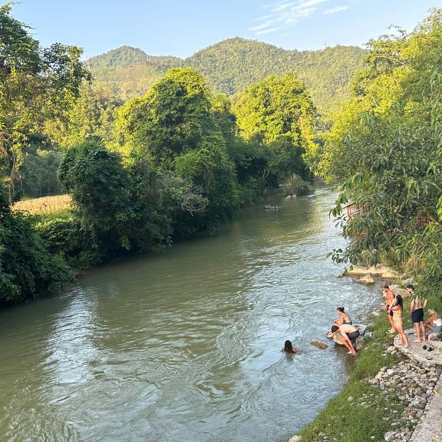 Galería de fotos para redes