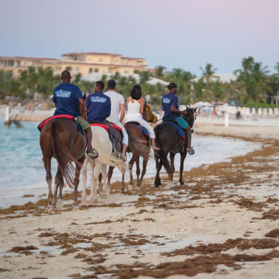Private Horseback Riding: Exclusive Beach & Ocean Experience