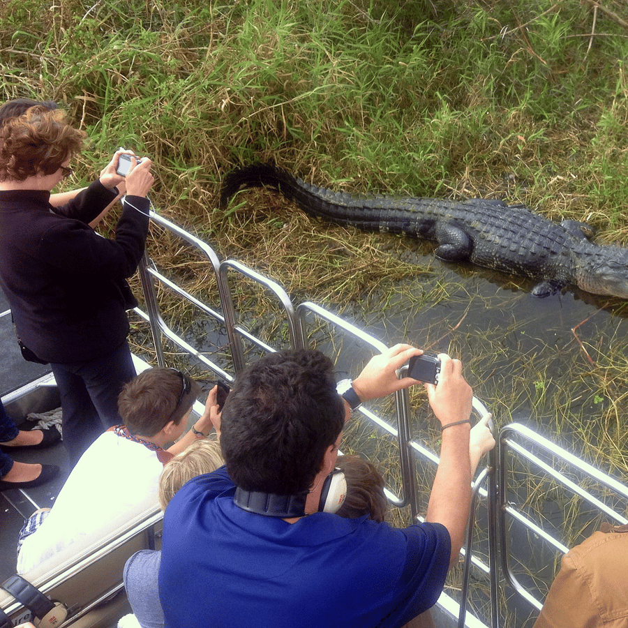 Orlando: Wild Florida Everglades Airboat & Wildlife Park