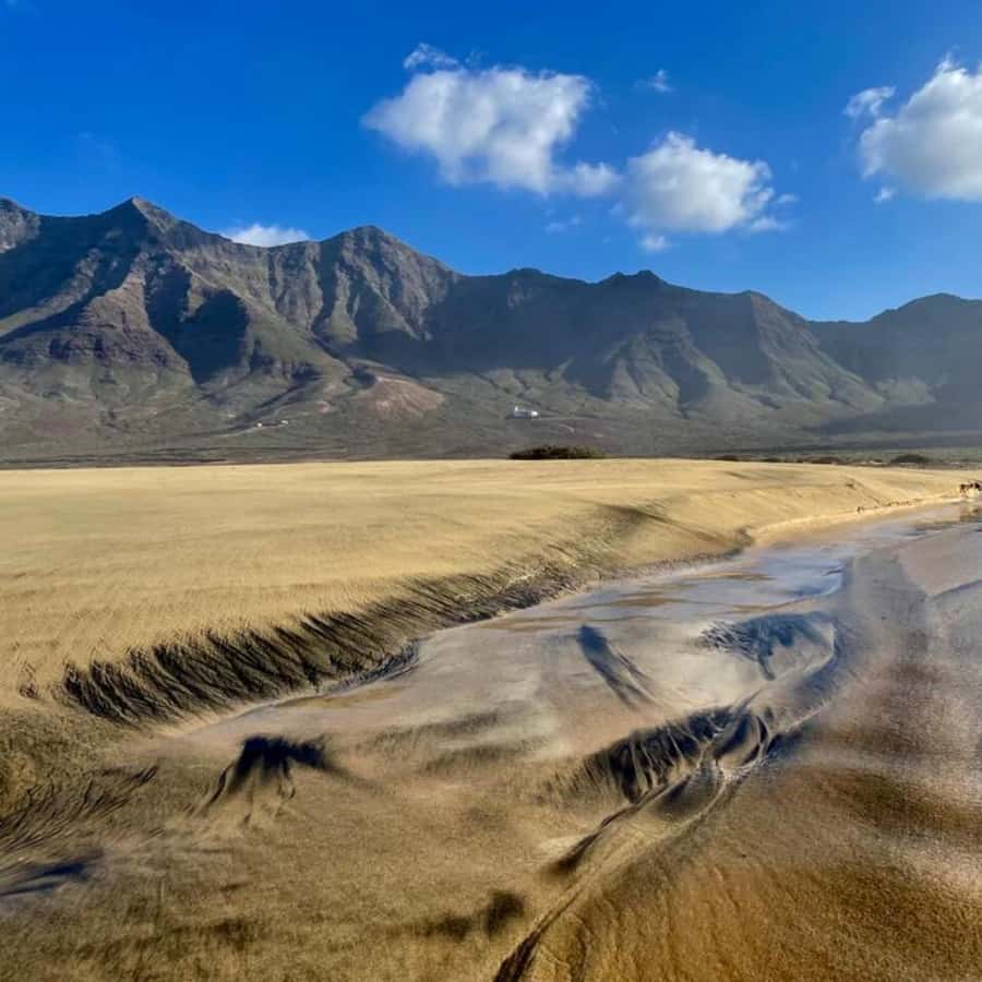 Galería de fotos para redes