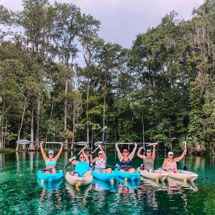 Silver Springs: Guided Glass Bottom Kayak Tour