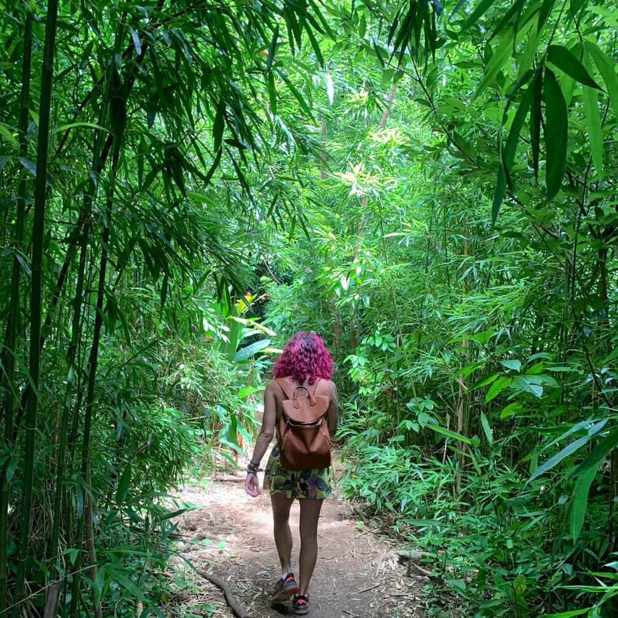 Oahu: Tour delle cascate e delle spiagge nascoste delle Hawaii