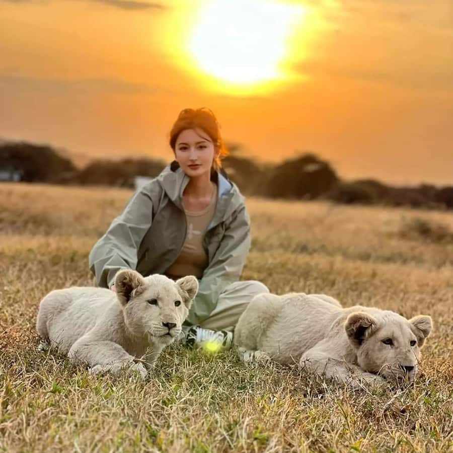 Galería de fotos para redes