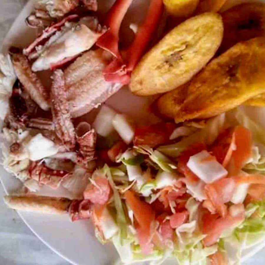 Galería de fotos para redes